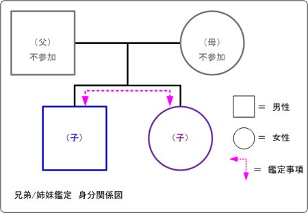 兄弟/姉妹のDNA鑑定