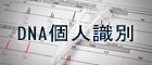 DNA個人識別