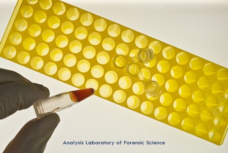 血縁関係の種類