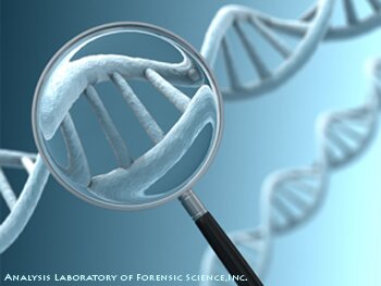 超簡単!DNA鑑定