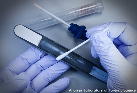 接触DNA分析の研究