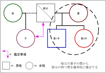 異母兄弟姉妹鑑定