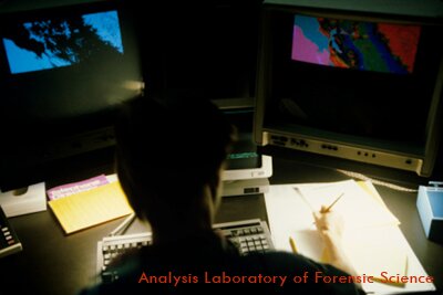 画像解析-防犯映像解析-写真解析