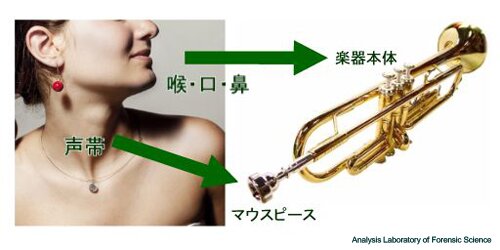 声の仕組み